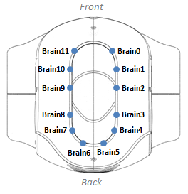 _images/brain_leds.png